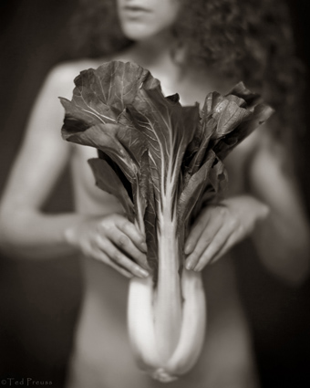 Bok Choy - Ted Preuss